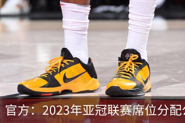 官方：2023年亚冠联赛席位分配公布 中超名额为2+2